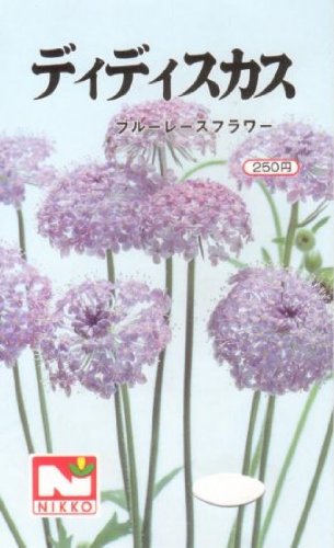 ディディスカス（ブルーレースフラワー）　種子 [日光種苗]