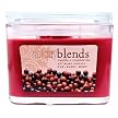 Vanilla & Cranberries Soy Candle
