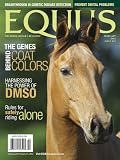 Equus (1-year auto-renewal)