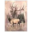 ELK CALL Queen Korean Mink Blanket