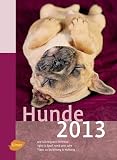 Produkt-Bild: Hunde 2013