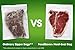 FoodSaver FM2100 Vacuum Sealing System new bag saving technolog - includes Handheld Sealer