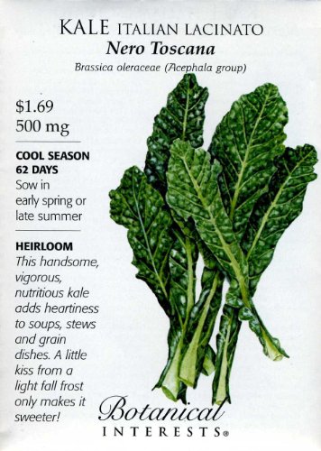Kale Italian Lacinato Nero Toscana