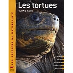 Les tortues