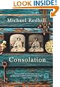 Consolation: A Novel