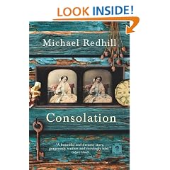 Consolation: A Novel