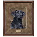 Loyal Companion Framed Art - Black Labrador Retriever
