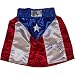 Miguel Cotto Fight Model Puerto Rican Flag Trunks