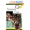 Tarantula Care (Quick and Easy)