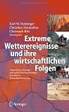 Extreme Wetterereignisse und ihre wirtschaftlichen Folgen: Anpassung, Auswege und politische Forderungen betroffener Wirtschaftsbranchen (German Edition)