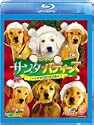 サンタバディーズ 小さな5匹の大冒険ブルーレイ本編DVD付