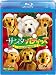 2009/11/18 発売日 サンタ・バディーズ 小さな5匹の大冒険/ブルーレイ(本編DVD付) [Blu-ray]