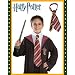 Harry Potter Gryffindor Tie