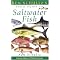 The Ultimate Fishing book List