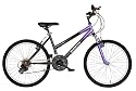 Mantis Raptor Girls 24- Inch Bicycle, Purple/Black