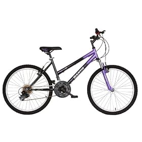 Mantis Raptor Girls 24- Inch Bicycle, Purple/Black