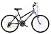 Mantis Raptor Girls' 24- Inch Bike, Purple/Black