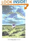 The Virtual Community: Homesteading on the Electronic Frontier