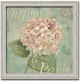 Vintage Fragrance IV Chic Shabby Floral By Daphne B Art Print Poster Picture Framed Decor 14X14