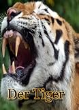 Der Tiger - Großkatze
