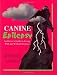 Canine Epilepsy: An Owner's Guide to Living With and Without Seizures