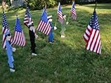IMAGE OF Patriotic Lawn Ornaments Represent the Varied Armed Forces of the U.S. Premium Photographic Poster Print, 30x40