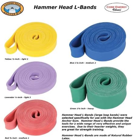 Core Energy Fitness Hammer Head L-Bands Large Loop Bands - Set of 5