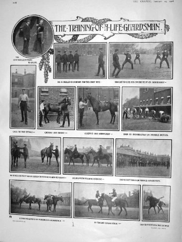 Guard War 1908 年の訓練の生命近衛兵の馬王