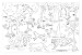 Search : RAINFOREST LEARNING WALL