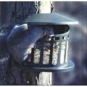 Feeder Window Mixed Seed .5#