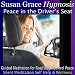 Peace in the Driver's Seat: Guided Meditation for Road Rage, Silent Meditation, Control, Peace, Self Help & Wellness