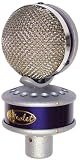 Violet Design Globe - Standard