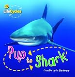Pup to Shark (Qed Lifecycles)