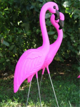 Pink Flamingos