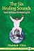 Book The Six Healing Sounds: Taoist Techniques for Balancing Chi