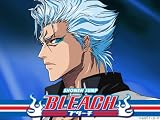 Bleach: Season 10