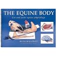 The Equine Body by Beth Maloney