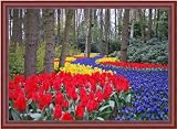 Review ArtToFrames  / 13x19 / 13 x 19 Picture Frame Cherry Peak .. 0.75'' wide