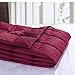puredown Soft Goose Down Throw Blanket Lightweight Packable Couch Throw for Indoor and Outdoor Use, 50