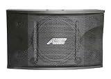 Audio2000′s ASP5213 600 Watt 12″ 2-Way Vocal Speakers (PAIR)