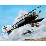 (16x20) WWI Albatros D.III (Taking Off) Art Poster Print