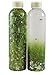 Calming Bottle - Spring Grass - 8oz (Fidget/Time-Out Bottle)