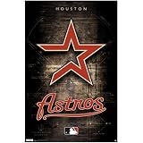(22x34) Houston Astros Logo 2011 Sports Poster Print