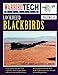 Lockheed Blackbirds - Warbird Tech Vol. 10