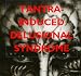 TIDS - Tantra-Induced Delusional Syndrome (A White-Hat Lawyer Investigative Report)