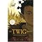 If you like Paolini, Nix and Funke, then these are for you.