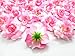 (100) Silk Two Tone Light Pink Roses Flower Head - 1.75