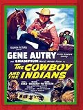 The Cowboy and the Indians