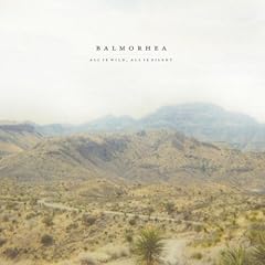 All Is Wild,All Is Silent [Vinyl LP]