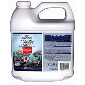 Pond Algae Control